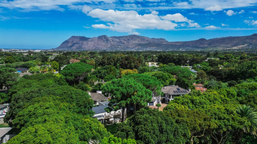 Commercial Property for Sale in Constantia Western Cape